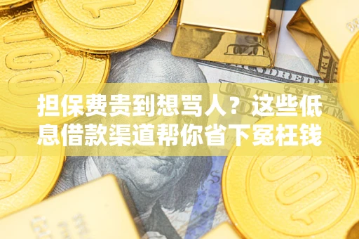 北京担保费贵到想骂人？这些低息借款渠道帮你省下冤枉钱