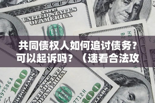 北京共同债权人如何追讨债务？可以起诉吗？（速看合法攻略）