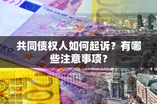 北京共同债权人如何起诉？有哪些注意事项？